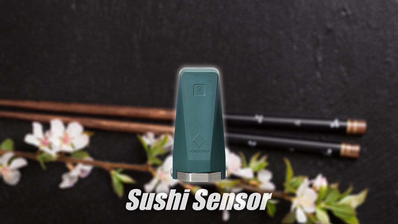 요꼬가와 스시 센서 Sushi Sensor